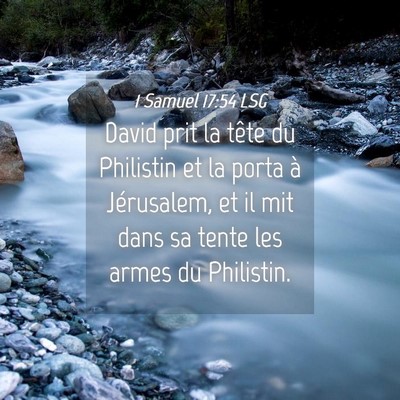 Picture 04 - 1 Samuel 17:54 LSG - David prit la tête du Philistin et la porta à - Bible Verse Picture