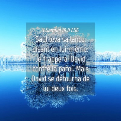 Picture 04 - 1 Samuel 18:11 LSG - Saül leva sa lance, disant en lui-même: Je - Bible Verse Picture