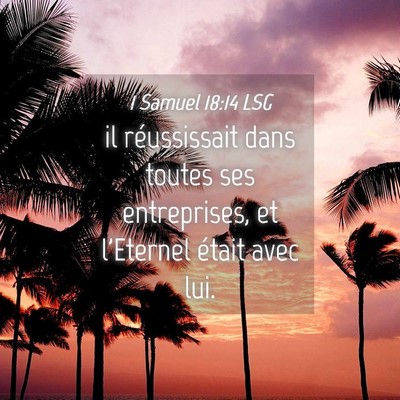Picture 04 - 1 Samuel 18:14 LSG - il réussissait dans toutes ses entreprises, et - Bible Verse Picture