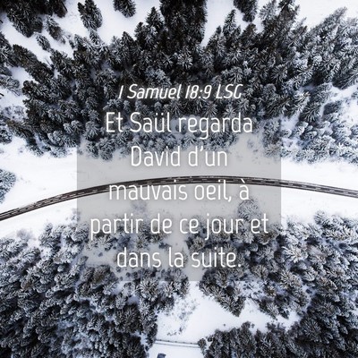 Picture 04 - 1 Samuel 18:9 LSG - Et Saül regarda David d'un mauvais oeil, à - Bible Verse Picture