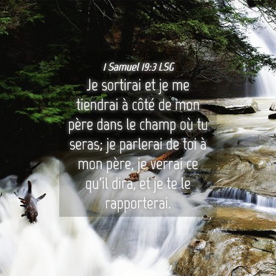 Picture 04 - 1 Samuel 19:3 LSG - Je sortirai et je me tiendrai à côté de mon - Bible Verse Picture