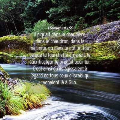 Picture 04 - 1 Samuel 2:14 LSG - il piquait dans la chaudière, dans le chaudron, - Bible Verse Picture