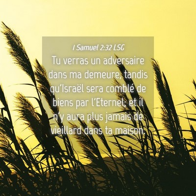 Picture 04 - 1 Samuel 2:32 LSG - Tu verras un adversaire dans ma demeure, tandis - Bible Verse Picture
