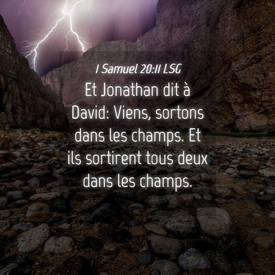 Picture 04 - 1 Samuel 20:11 LSG - Et Jonathan dit à David: Viens, sortons dans les - Bible Verse Picture