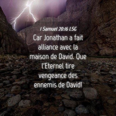 Picture 04 - 1 Samuel 20:16 LSG - Car Jonathan a fait alliance avec la maison de - Bible Verse Picture