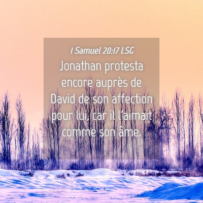 Picture 04 - 1 Samuel 20:17 LSG - Jonathan protesta encore auprès de David de son - Bible Verse Picture