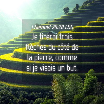 Picture 04 - 1 Samuel 20:20 LSG - Je tirerai trois flèches du côté de la pierre, - Bible Verse Picture