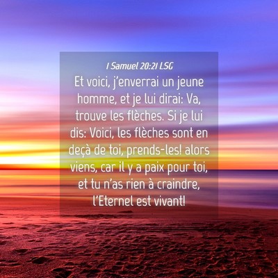 Picture 04 - 1 Samuel 20:21 LSG - Et voici, j'enverrai un jeune homme, et je lui - Bible Verse Picture
