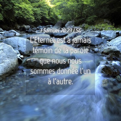 Picture 04 - 1 Samuel 20:23 LSG - L'Eternel est à jamais témoin de la parole que - Bible Verse Picture