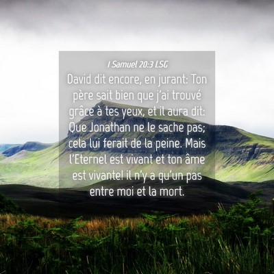 Picture 04 - 1 Samuel 20:3 LSG - David dit encore, en jurant: Ton père sait bien - Bible Verse Picture