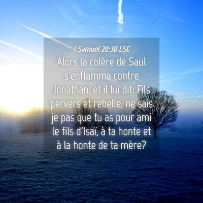 Picture 04 - 1 Samuel 20:30 LSG - Alors la colère de Saül s'enflamma contre - Bible Verse Picture