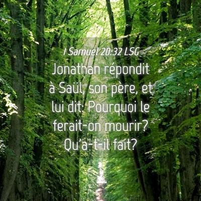 Picture 04 - 1 Samuel 20:32 LSG - Jonathan répondit à Saül, son père, et lui - Bible Verse Picture