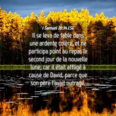 Picture 04 - 1 Samuel 20:34 LSG - Il se leva de table dans une ardente colère, et - Bible Verse Picture