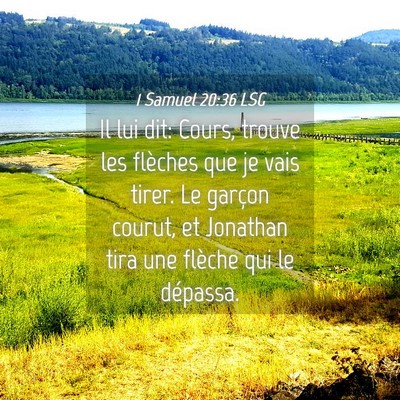 Picture 04 - 1 Samuel 20:36 LSG - Il lui dit: Cours, trouve les flèches que je - Bible Verse Picture