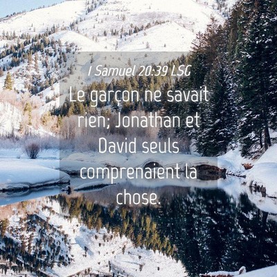 Picture 04 - 1 Samuel 20:39 LSG - Le garçon ne savait rien; Jonathan et David - Bible Verse Picture