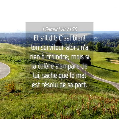 Picture 04 - 1 Samuel 20:7 LSG - Et s'il dit: C'est bien! ton serviteur alors n'a - Bible Verse Picture
