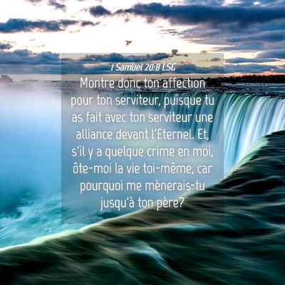 Picture 04 - 1 Samuel 20:8 LSG - Montre donc ton affection pour ton serviteur, - Bible Verse Picture