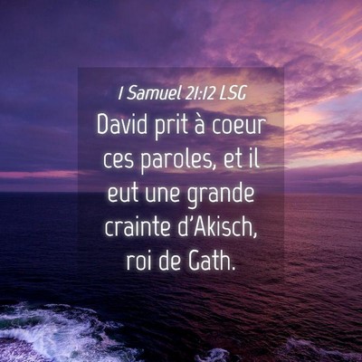Picture 04 - 1 Samuel 21:12 LSG - David prit à coeur ces paroles, et il eut une - Bible Verse Picture