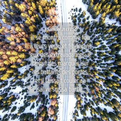 Picture 04 - 1 Samuel 21:13 LSG - Il se montra comme fou à leurs yeux, et fit - Bible Verse Picture