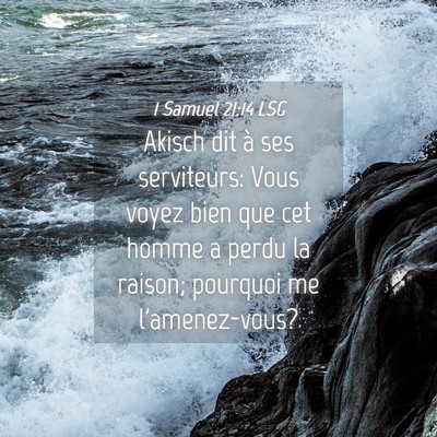 Picture 04 - 1 Samuel 21:14 LSG - Akisch dit à ses serviteurs: Vous voyez bien que - Bible Verse Picture