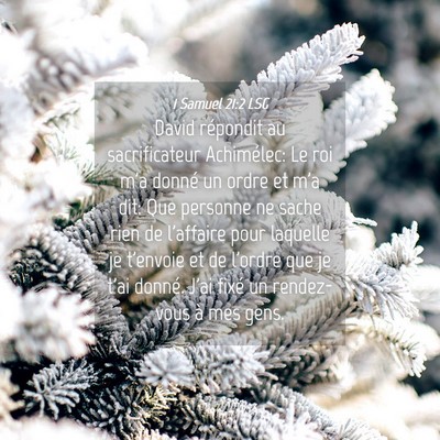 Picture 04 - 1 Samuel 21:2 LSG - David répondit au sacrificateur Achimélec: Le - Bible Verse Picture