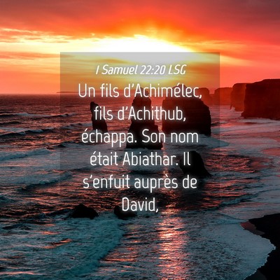Picture 04 - 1 Samuel 22:20 LSG - Un fils d'Achimélec, fils d'Achithub, échappa. - Bible Verse Picture