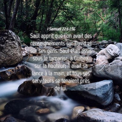 Picture 04 - 1 Samuel 22:6 LSG - Saül apprit que l'on avait des renseignements - Bible Verse Picture