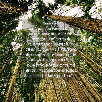 Picture 04 - 1 Samuel 22:8 LSG - Sinon, pourquoi avez-vous tous conspiré contre - Bible Verse Picture