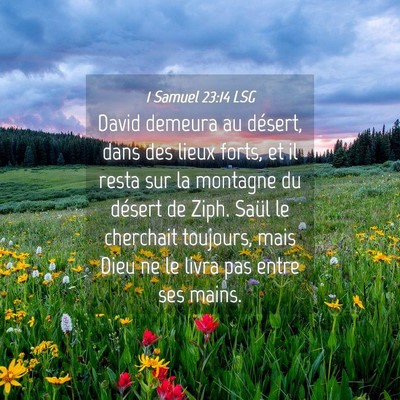 Picture 04 - 1 Samuel 23:14 LSG - David demeura au désert, dans des lieux forts, - Bible Verse Picture