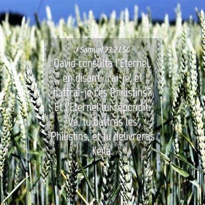 Picture 04 - 1 Samuel 23:2 LSG - David consulta l'Eternel, en disant: Irai-je, et - Bible Verse Picture
