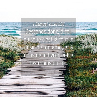 Picture 04 - 1 Samuel 23:20 LSG - Descends donc, ô roi, puisque c'est là tout le - Bible Verse Picture
