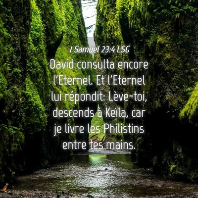 Picture 04 - 1 Samuel 23:4 LSG - David consulta encore l'Eternel. Et l'Eternel lui - Bible Verse Picture