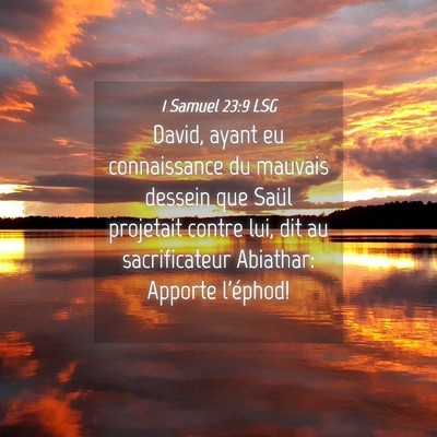 Picture 04 - 1 Samuel 23:9 LSG - David, ayant eu connaissance du mauvais dessein - Bible Verse Picture