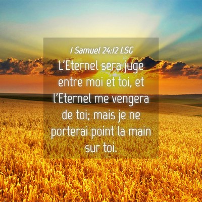 Picture 04 - 1 Samuel 24:12 LSG - L'Eternel sera juge entre moi et toi, et - Bible Verse Picture