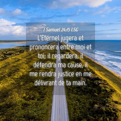 Picture 04 - 1 Samuel 24:15 LSG - L'Eternel jugera et prononcera entre moi et toi; - Bible Verse Picture