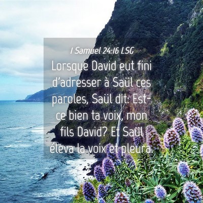Picture 04 - 1 Samuel 24:16 LSG - Lorsque David eut fini d'adresser à Saül ces - Bible Verse Picture