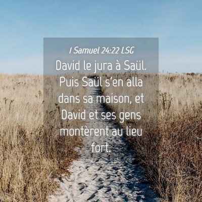 Picture 04 - 1 Samuel 24:22 LSG - David le jura à Saül. Puis Saül s'en alla dans - Bible Verse Picture