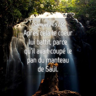 Picture 04 - 1 Samuel 24:5 LSG - Après cela le coeur lui battit, parce qu'il - Bible Verse Picture