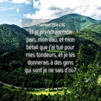 Picture 04 - 1 Samuel 25:11 LSG - Et je prendrais mon pain, mon eau, et mon bétail - Bible Verse Picture