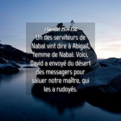 Picture 04 - 1 Samuel 25:14 LSG - Un des serviteurs de Nabal vint dire à Abigaïl, - Bible Verse Picture