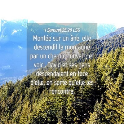 Picture 04 - 1 Samuel 25:20 LSG - Montée sur un âne, elle descendit la montagne - Bible Verse Picture
