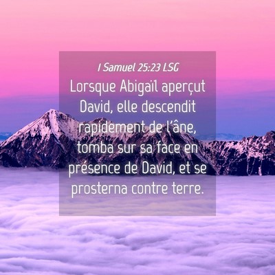 Picture 04 - 1 Samuel 25:23 LSG - Lorsque Abigaïl aperçut David, elle descendit - Bible Verse Picture