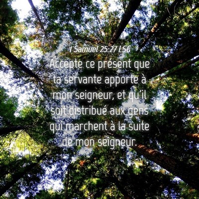 Picture 04 - 1 Samuel 25:27 LSG - Accepte ce présent que ta servante apporte à - Bible Verse Picture