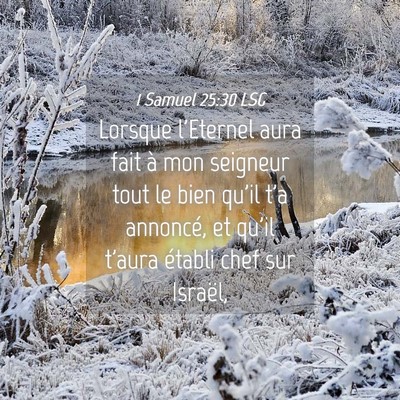 Picture 04 - 1 Samuel 25:30 LSG - Lorsque l'Eternel aura fait à mon seigneur tout - Bible Verse Picture