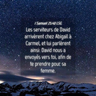 Picture 04 - 1 Samuel 25:40 LSG - Les serviteurs de David arrivèrent chez Abigaïl - Bible Verse Picture