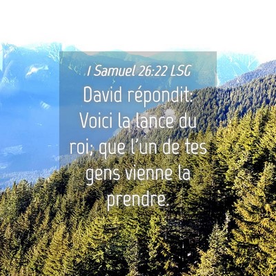 Picture 04 - 1 Samuel 26:22 LSG - David répondit: Voici la lance du roi; que l'un - Bible Verse Picture