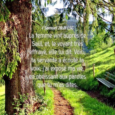Picture 04 - 1 Samuel 28:21 LSG - La femme vint auprès de Saül, et, le voyant - Bible Verse Picture