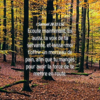 Picture 04 - 1 Samuel 28:22 LSG - Ecoute maintenant, toi aussi, la voix de ta - Bible Verse Picture