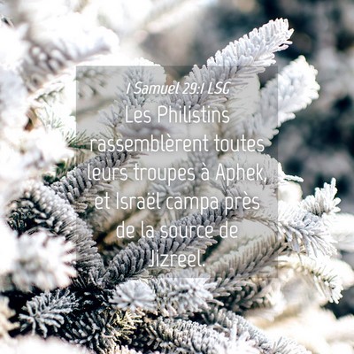 Picture 04 - 1 Samuel 29:1 LSG - Les Philistins rassemblèrent toutes leurs - Bible Verse Picture