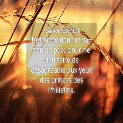 Picture 04 - 1 Samuel 29:7 LSG - Retourne donc et va-t'en en paix, pour ne rien - Bible Verse Picture